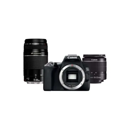 Canon EOS 250D Essential Double Lens Kit - Image 4
