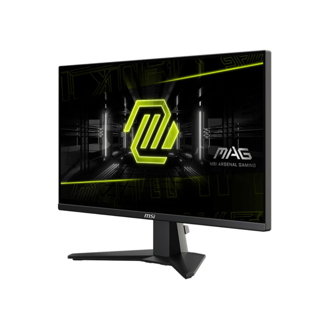 25" FHD 250Hz gaming monitor