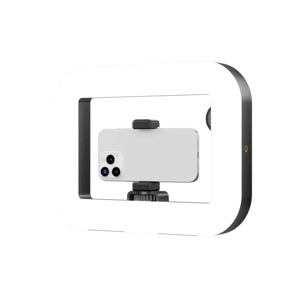 dual-handle-ring-light-stabilizer-for-smartphones-and-cameras-2500k-8500k