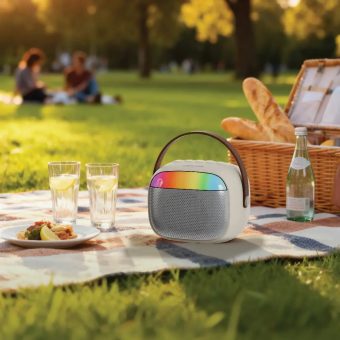 green lion melody mini karaoke speaker with wireless microphone