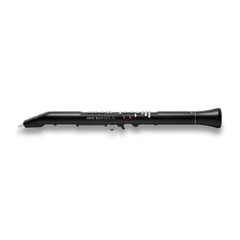 akai ewi solo electronic wind instrument with built in speaker