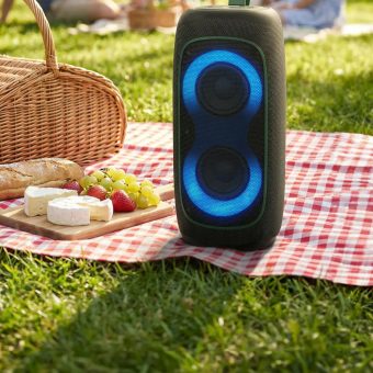 Green Lion Thunder 30 Speaker at a Picnic